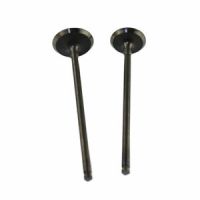 Big Boy GPR 250 Valves