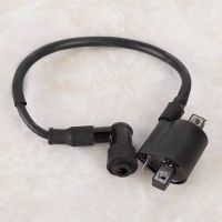 CG 150cc ignition coil