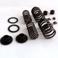Gy6 125cc 150cc valve springs